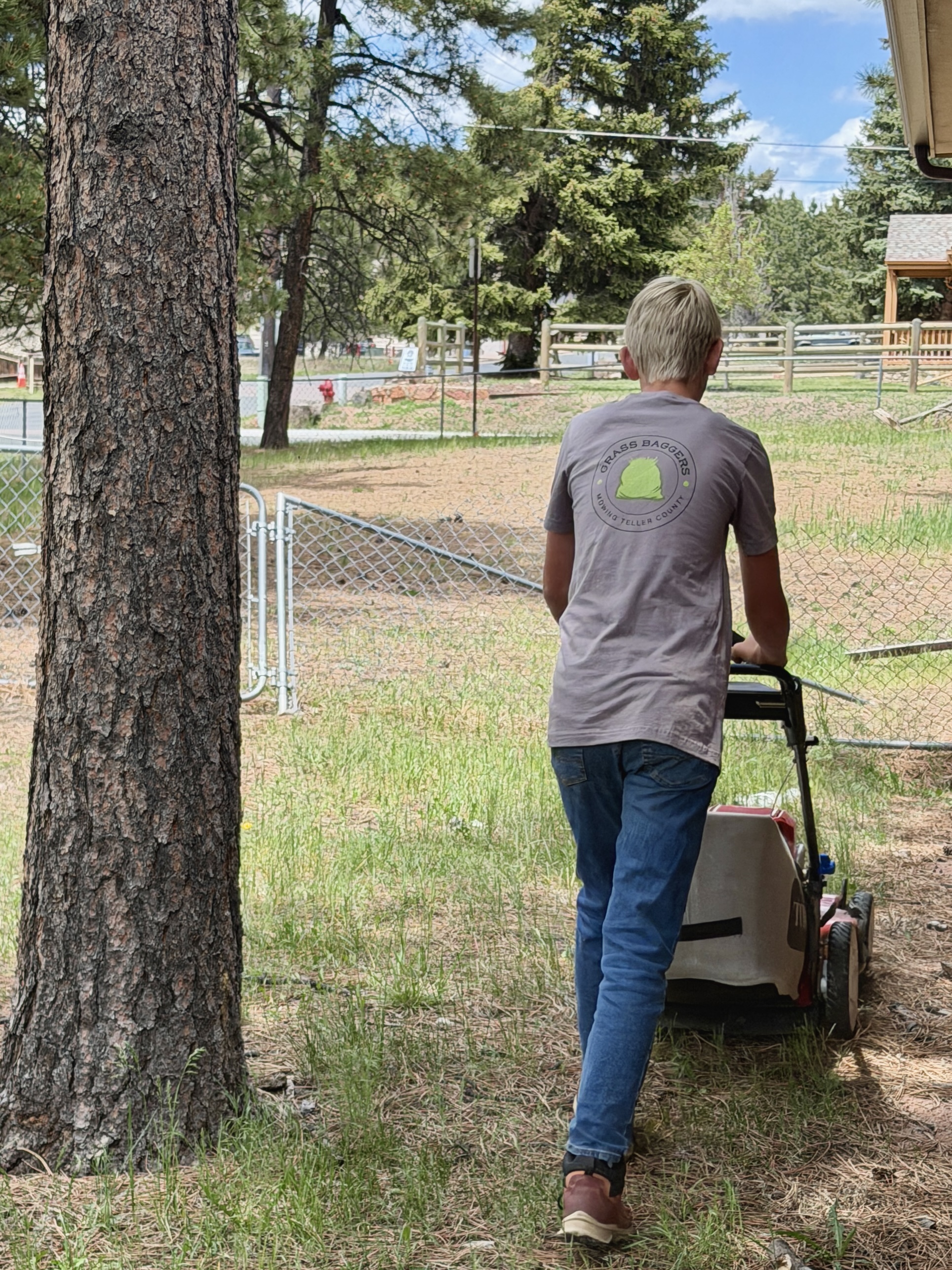 Lawn Mowing