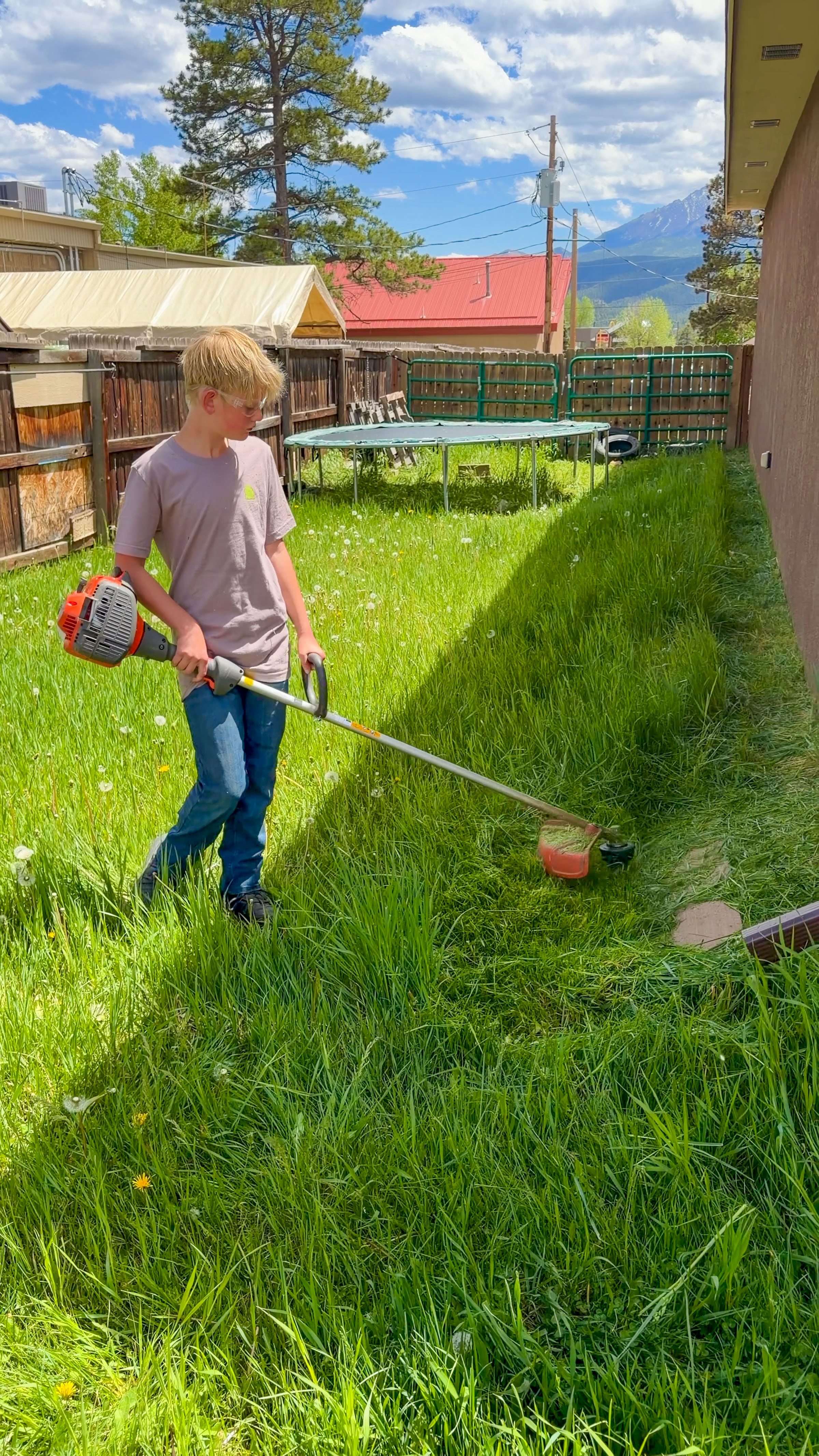 Trimming